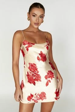 Valentina Satin Mini Dress - Rose Print 17 Valentina Satin Mini Dress - Rose Print -Meshki Shop 20221212 meshki ecomm moncheri katie0094