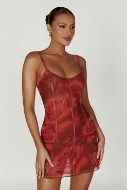 BSD Esther Mesh Panelled Mini Dress - Oversized Rose Print -Meshki Shop 20221221 meshki moncherie pt2 katie2525