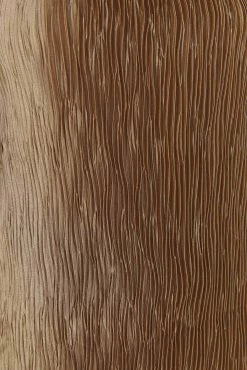 BSD Athena Plisse Mini Shift Dress - Bronze 15 BSD Athena Plisse Mini Shift Dress - Bronze -Meshki Shop 20230418 meshki ecomm deesee katie4725